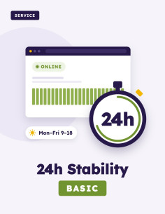 24h Stabilitás Garancia ALAP – weboldal-felügyelet | WSC Dev 2